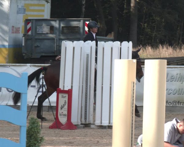 Reitturnier Ranshofen - Braunau am Inn 2023