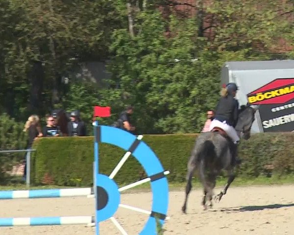 Reitturnier Frankenhof-Sonnefeld/Ofr. 2023