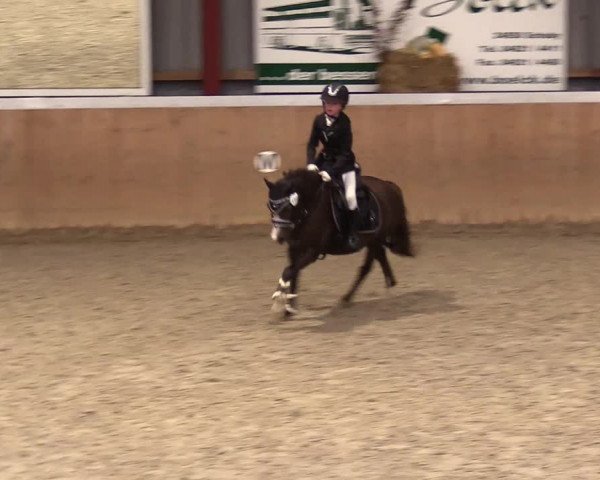 Reitturnier Behrendorf 2023