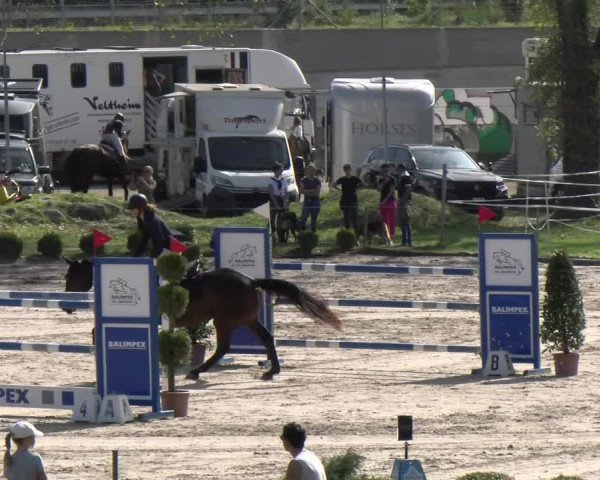 Reitturnier Basel/Schänzli 2023