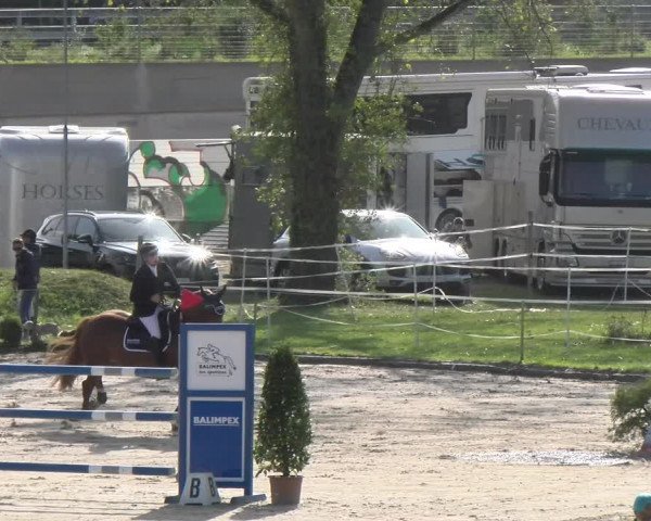 Reitturnier Basel/Schänzli 2023