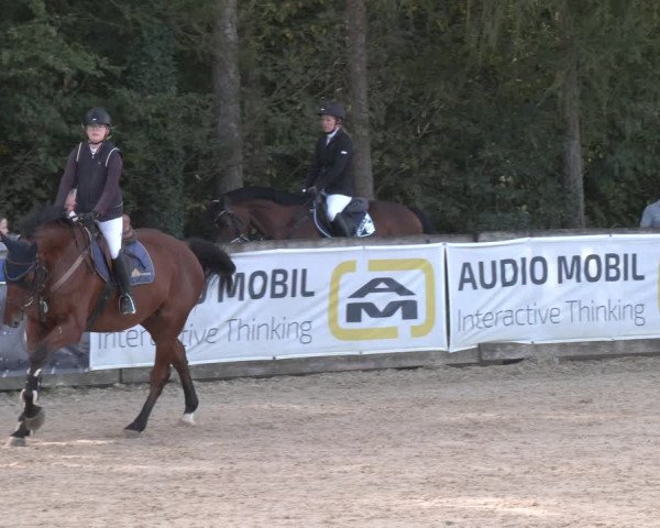 Reitturnier Ranshofen - Braunau am Inn 2023