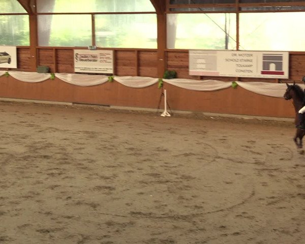 Reitturnier Xanten - Reitanlage Miss 2023