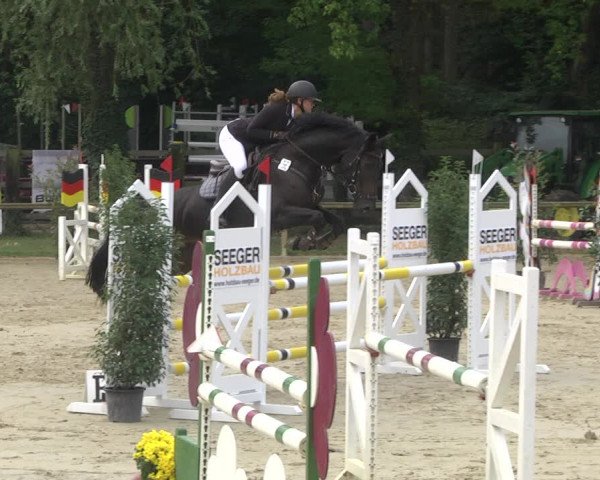 Springturnier Walldorf/Winterheck 2021