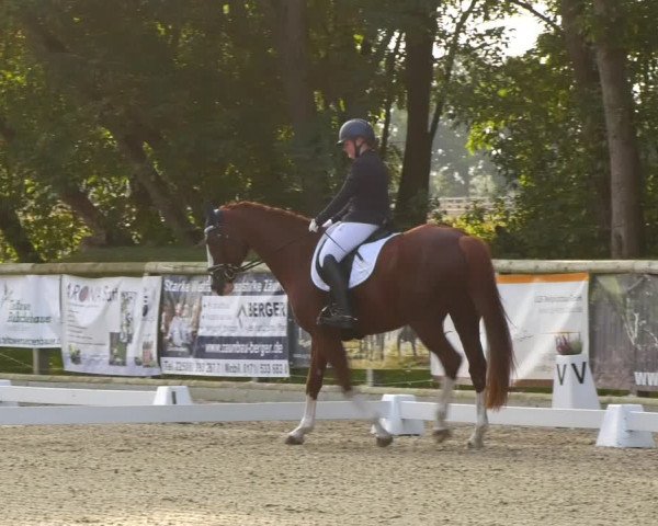 Reitturnier Ruhlsdorf 2023