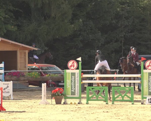 Reitturnier Ranshofen - Braunau am Inn 2023