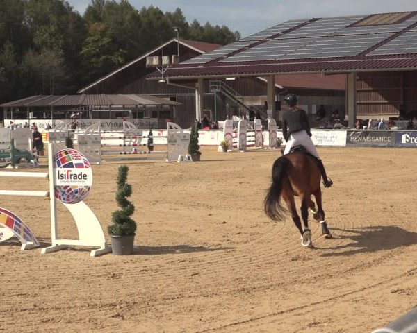 Reitturnier Ranshofen - Braunau am Inn 2023