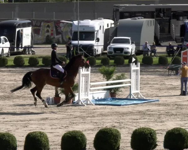 Reitturnier Basel/Schänzli 2023