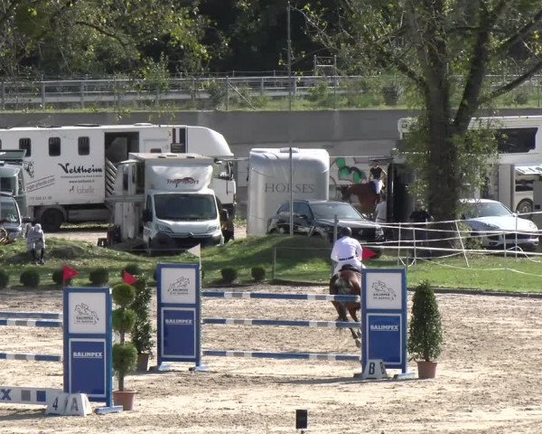 Reitturnier Basel/Schänzli 2023