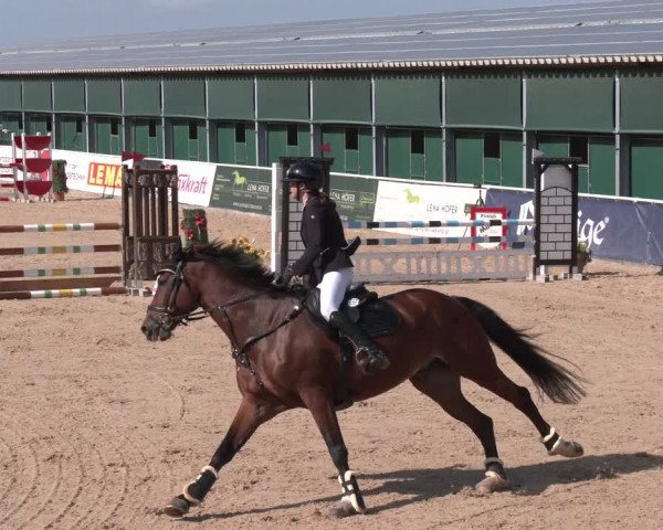 Reitturnier Ranshofen - Braunau am Inn 2023
