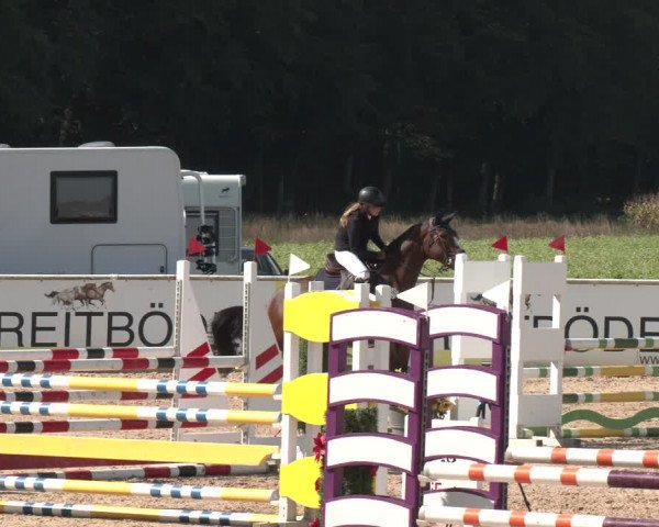 Reitturnier Ranshofen - Braunau am Inn 2023