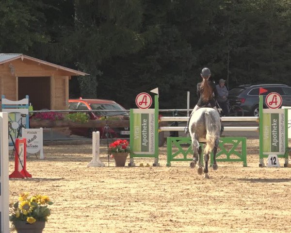 Reitturnier Ranshofen - Braunau am Inn 2023
