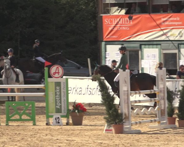 Reitturnier Ranshofen - Braunau am Inn 2023