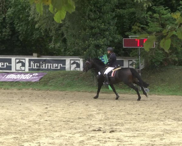 Springturnier Walldorf/Winterheck 2021