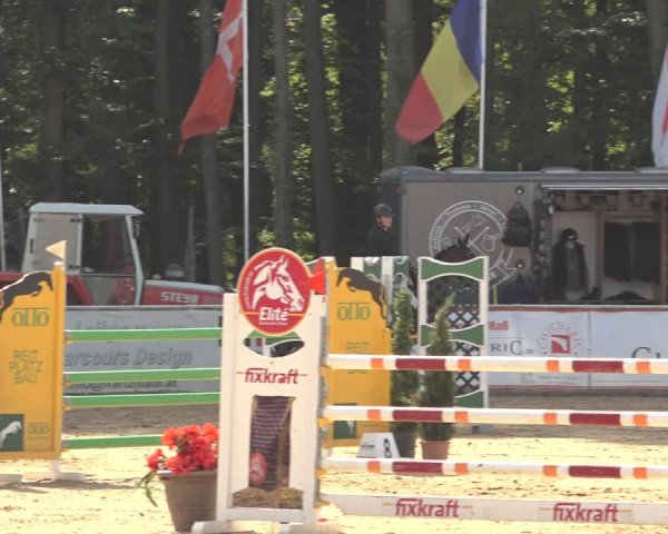 Reitturnier Ranshofen - Braunau am Inn 2023