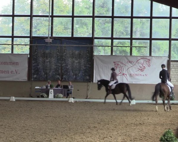 Reitturnier Kamen 2023
