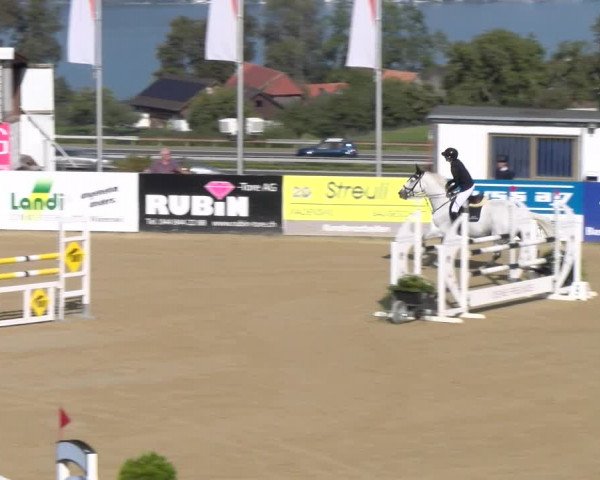 Reitturnier Wädenswil 2023