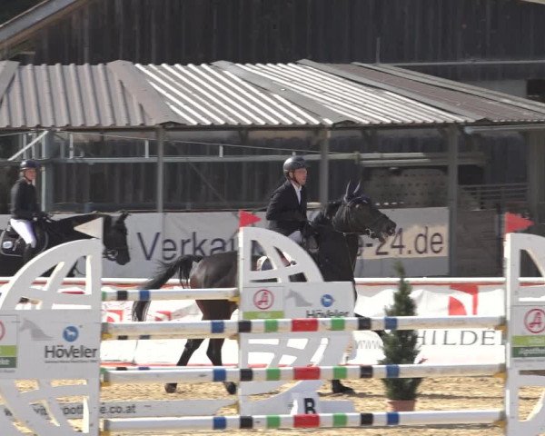 Reitturnier Ranshofen - Braunau am Inn 2023