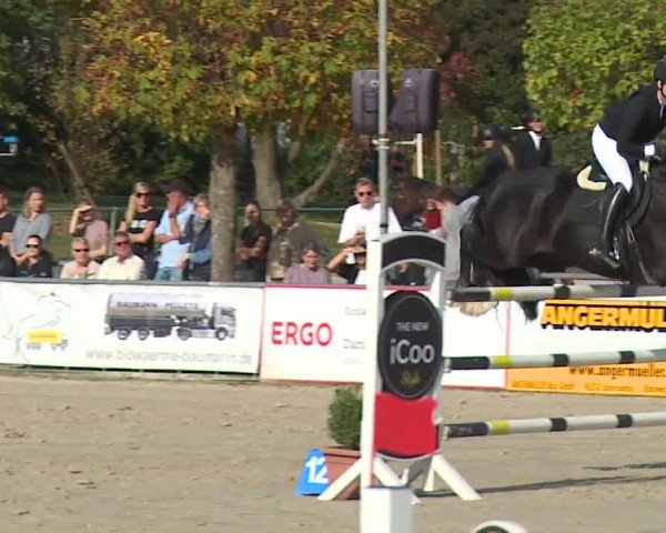 Reitturnier Frankenhof-Sonnefeld/Ofr. 2023