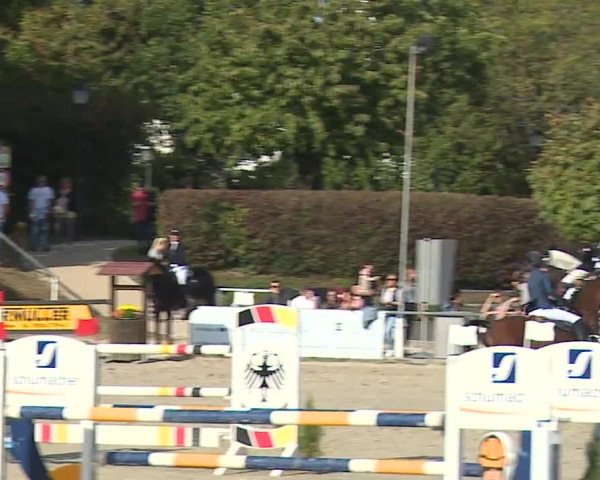 Reitturnier Frankenhof-Sonnefeld/Ofr. 2023