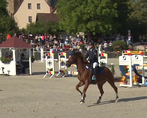 Reitturnier Frankenhof-Sonnefeld/Ofr. 2023