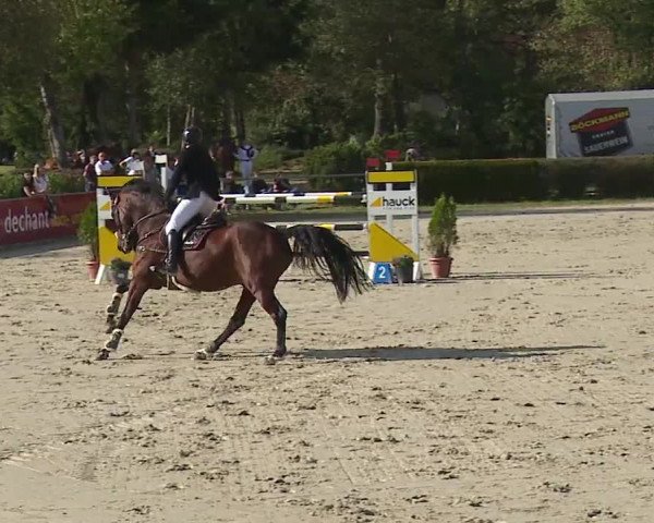 Reitturnier Frankenhof-Sonnefeld/Ofr. 2023