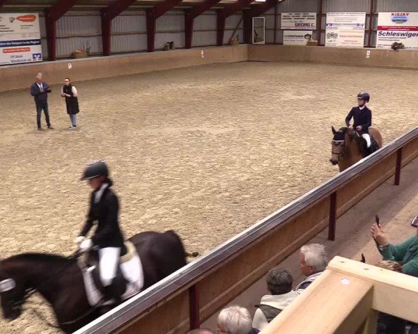 Reitturnier Behrendorf 2023