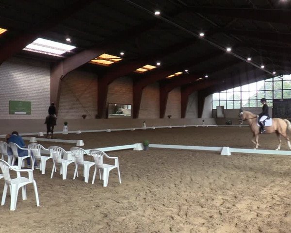 Reitturnier Kamen 2023