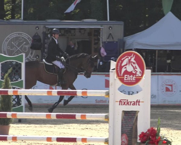 Reitturnier Ranshofen - Braunau am Inn 2023