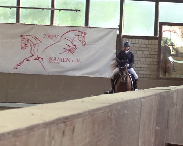 Reitturnier Kamen 2023