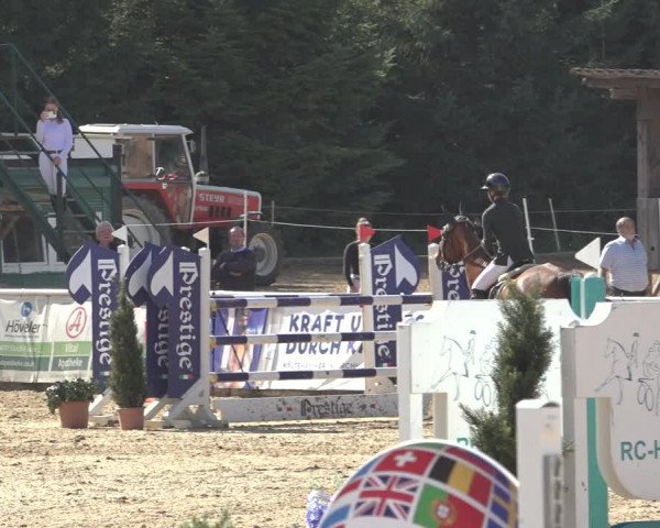 Reitturnier Ranshofen - Braunau am Inn 2023