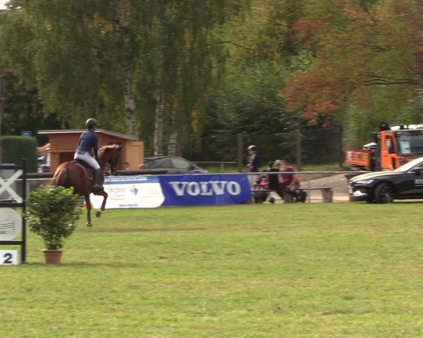 Reitturnier Röhrsdorf/ Chemnitz 2023