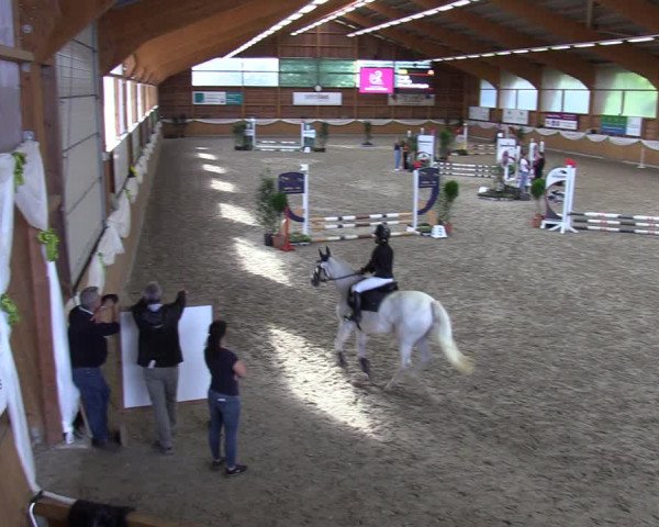 Reitturnier Xanten - Reitanlage Miss 2023