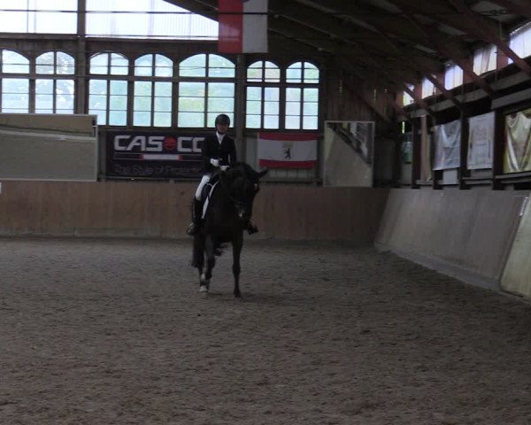 Reitturnier Elisenau 2023