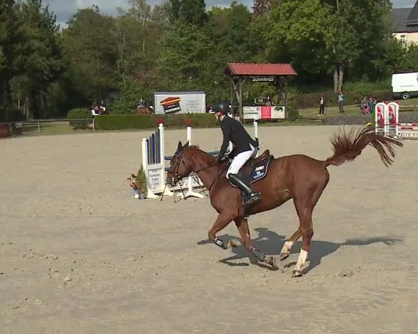 Reitturnier Frankenhof-Sonnefeld/Ofr. 2023