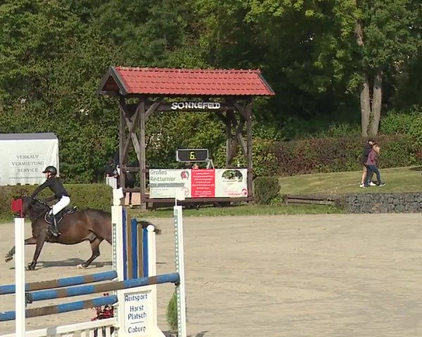 Reitturnier Frankenhof-Sonnefeld/Ofr. 2023