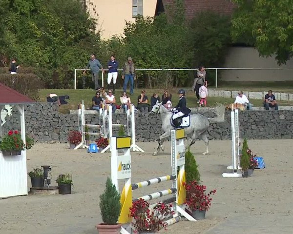 Reitturnier Frankenhof-Sonnefeld/Ofr. 2023