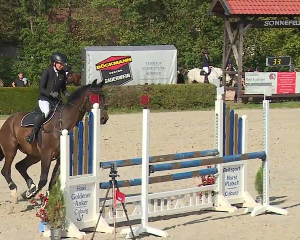 Reitturnier Frankenhof-Sonnefeld/Ofr. 2023