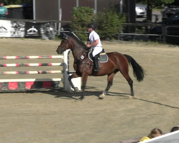 Reitturnier Kamen 2023