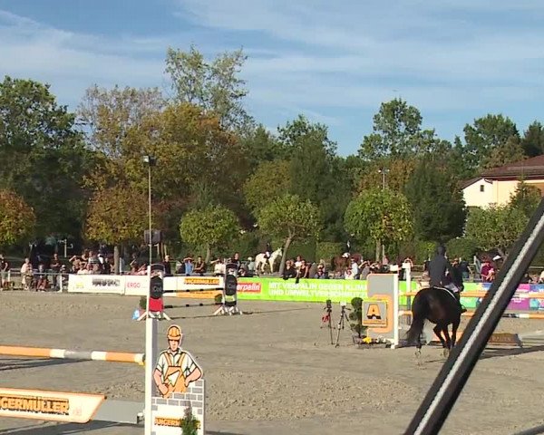 Reitturnier Frankenhof-Sonnefeld/Ofr. 2023