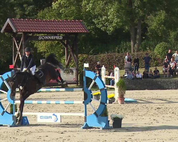 Reitturnier Frankenhof-Sonnefeld/Ofr. 2023