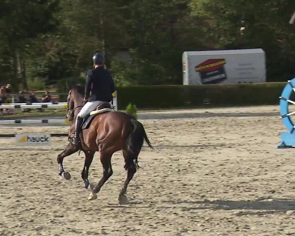 Reitturnier Frankenhof-Sonnefeld/Ofr. 2023
