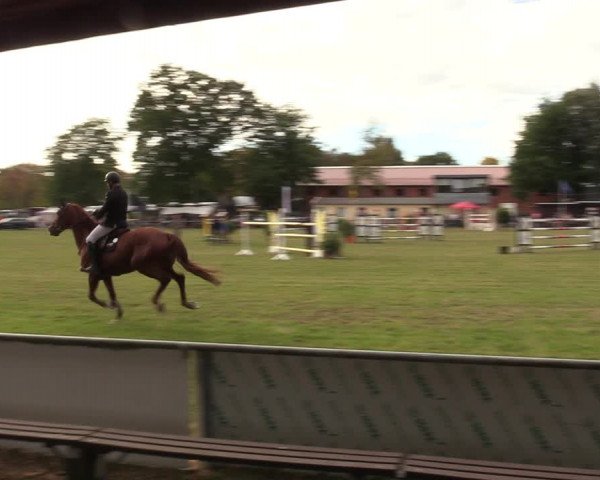 Reitturnier Röhrsdorf/ Chemnitz 2023