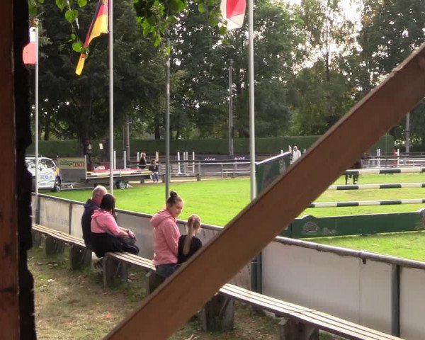 Reitturnier Röhrsdorf/ Chemnitz 2023