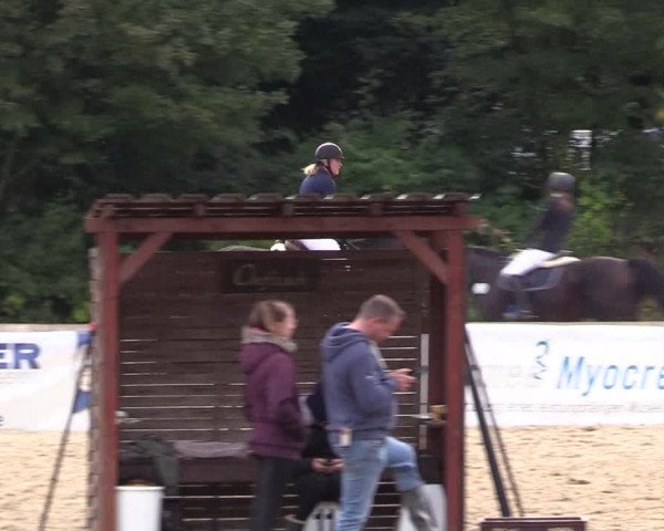 Reitturnier Albersdorf Dithmarsenpark 2021