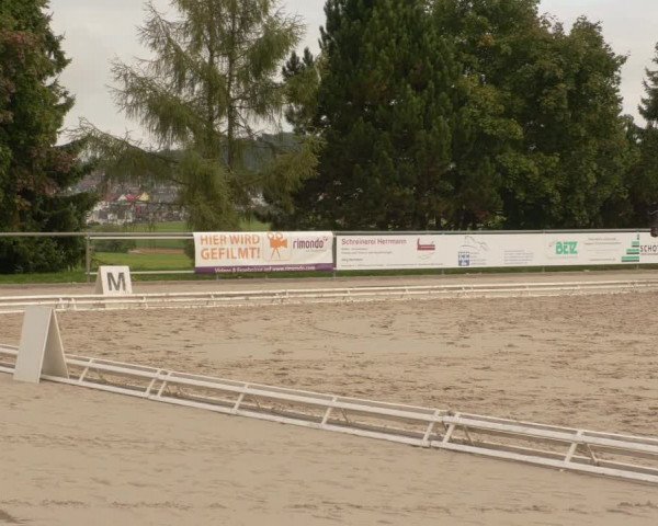 Dressurturnier Sonnenbühl-Undingen 2021