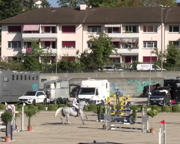 Reitturnier Basel/Schänzli 2023