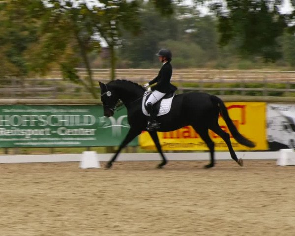 Reitturnier Ruhlsdorf 2023
