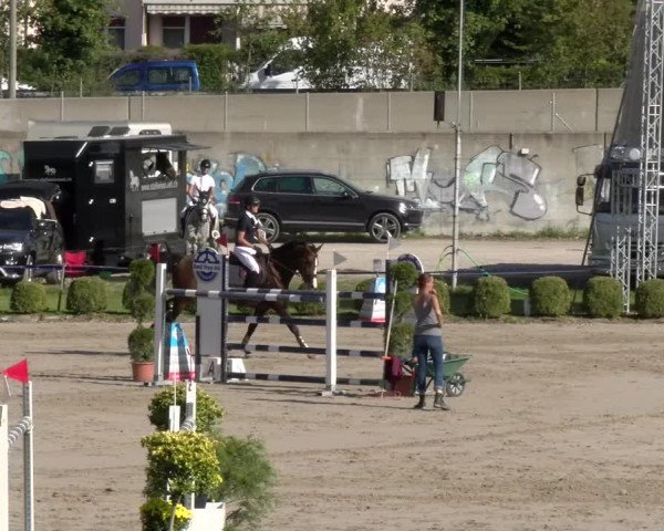 Reitturnier Basel/Schänzli 2023