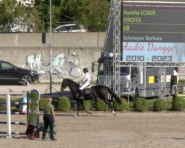 Reitturnier Basel/Schänzli 2023